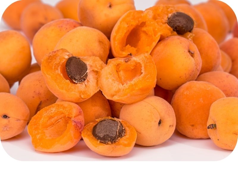 Stewed Apricots as a home remedy for constipation