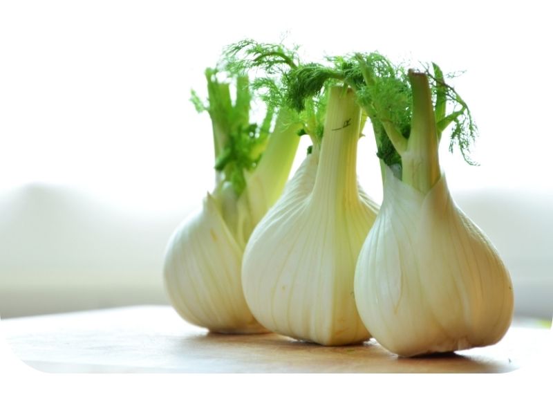 Fennel as a digestion aid