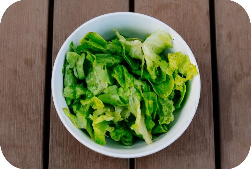 Low fat foods can help promote regular bowel movements