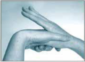 Step 5 - Handwashing Guide