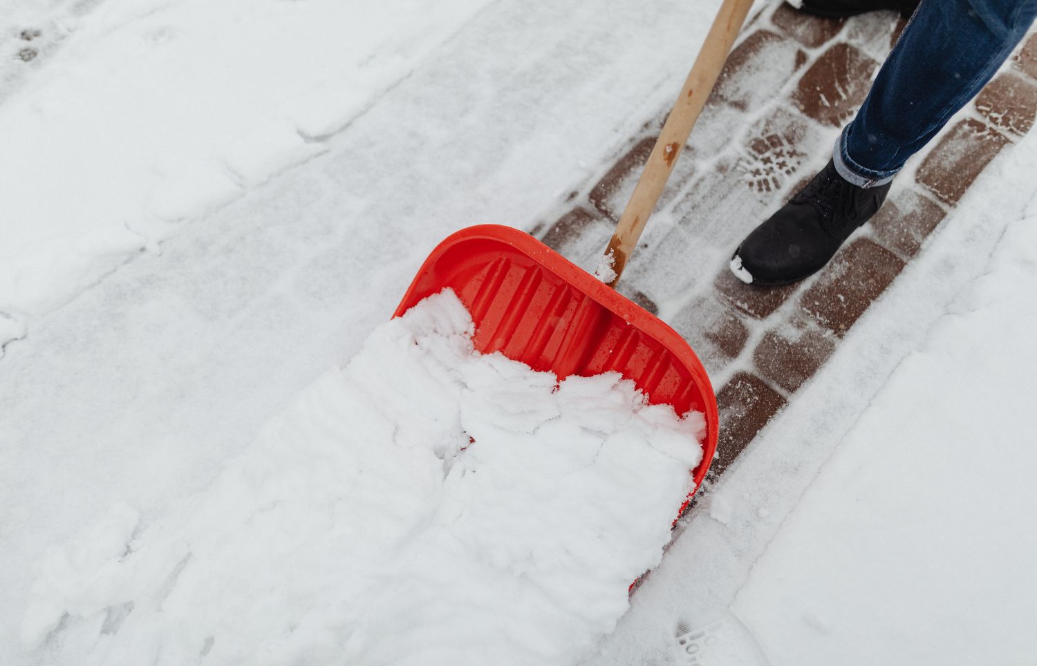 snow shovel - winter survival