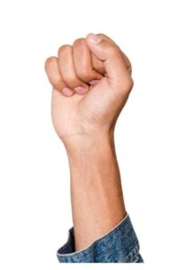 Kidney Size is the same as your fist