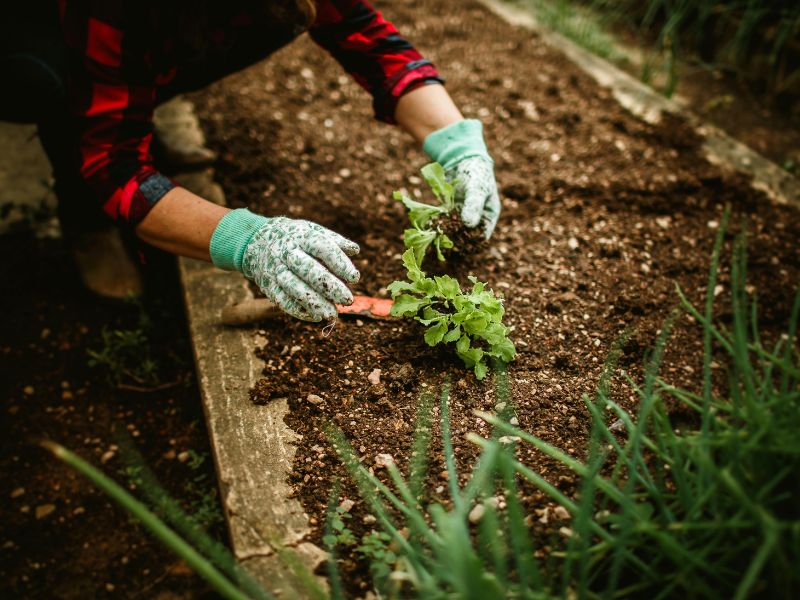 Green Social Prescribing